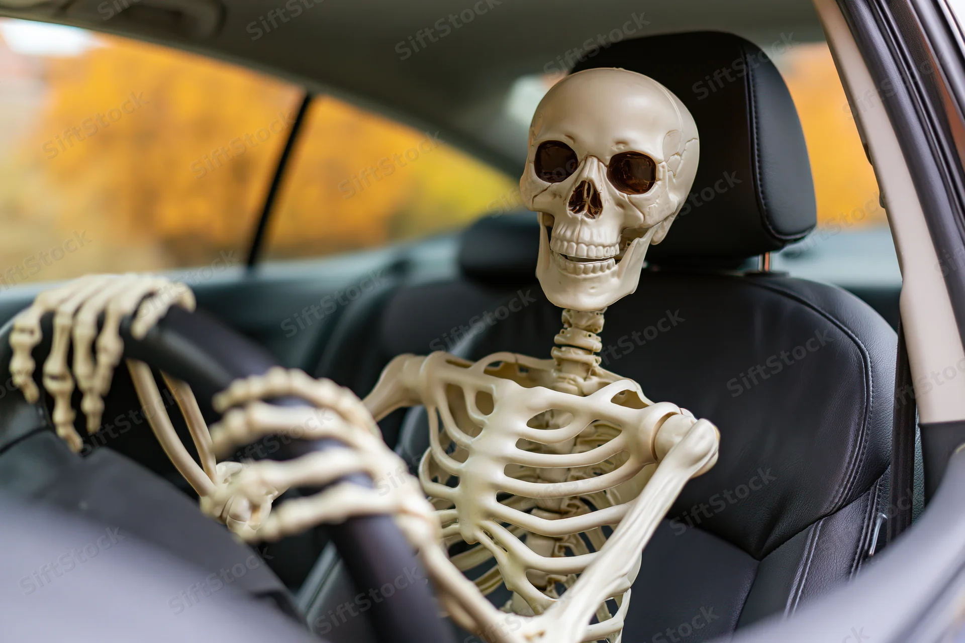 Plastic skeleton prop sitting in driver’s seat of a car with autumn foliage visible through window