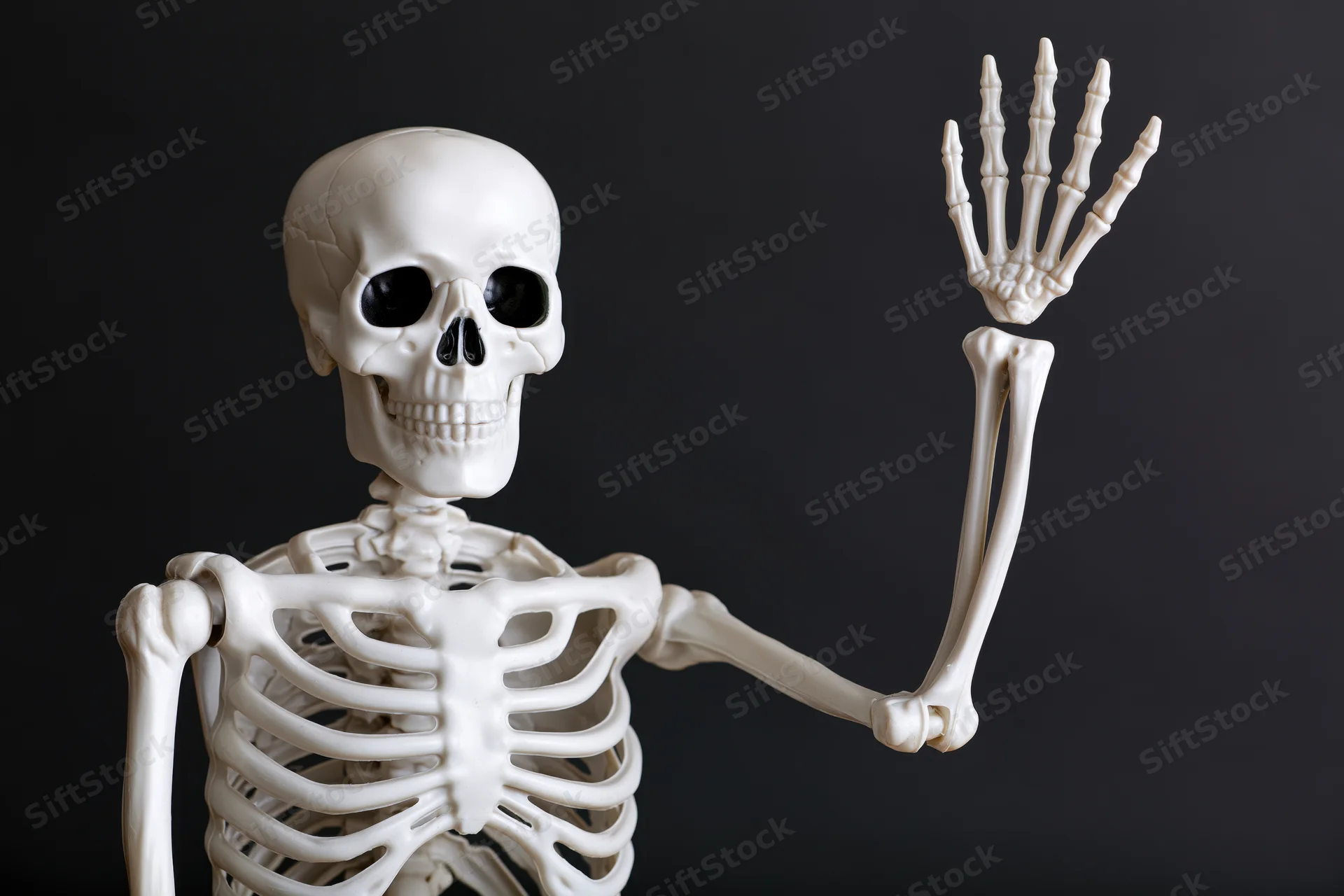 Plastic anatomical human skeleton model raising one hand against black background