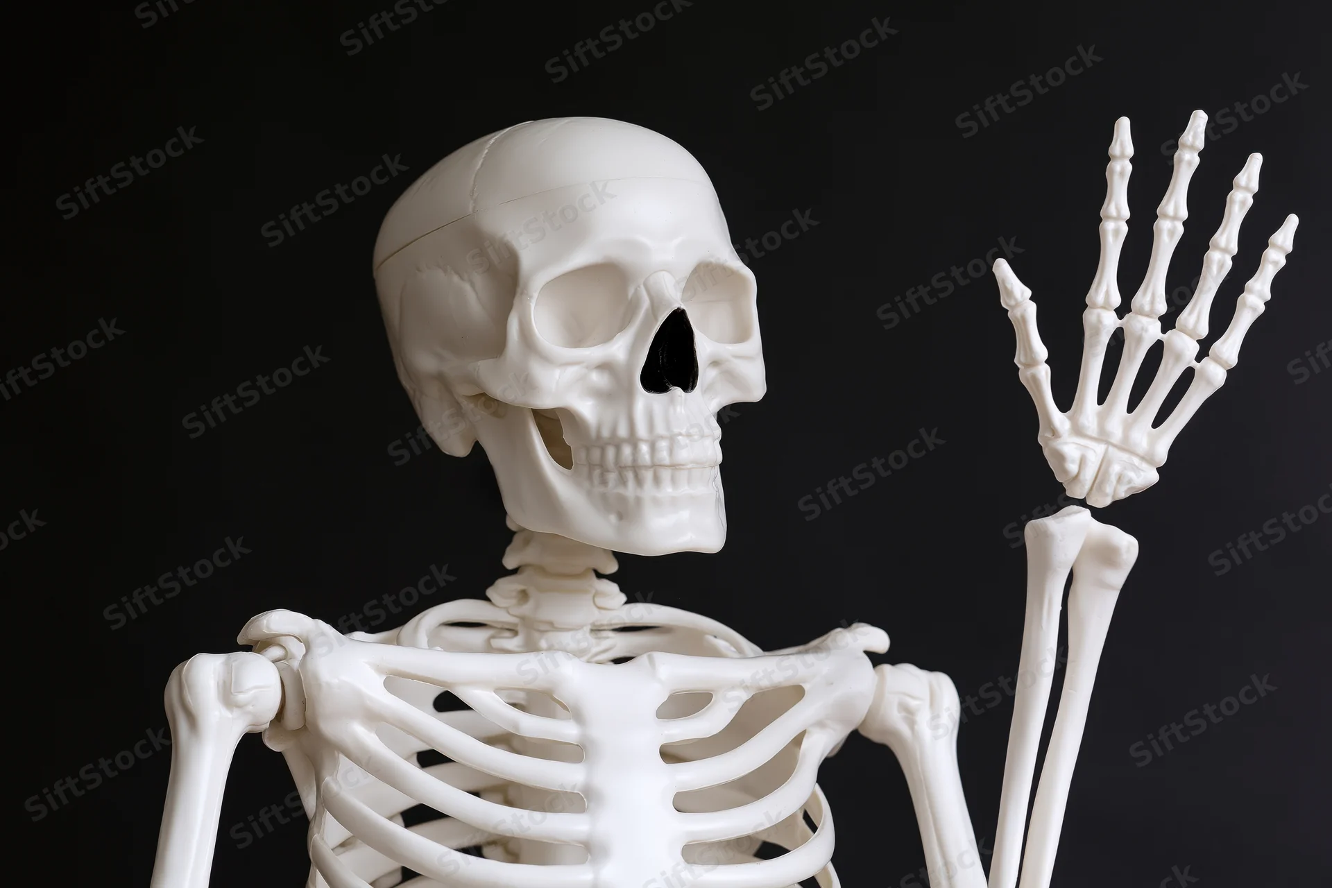 Plastic anatomical human skeleton model raising one hand against black background