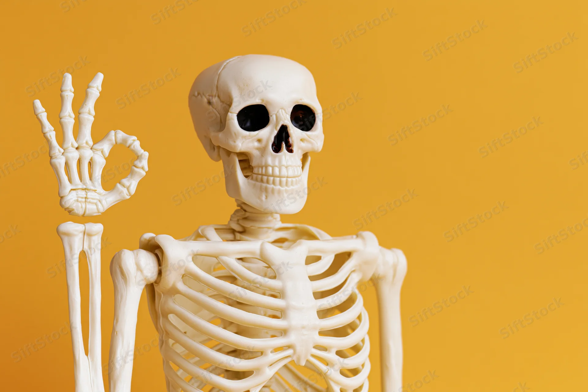 Plastic anatomical human skeleton model raising one hand in a waving gesture against orange background