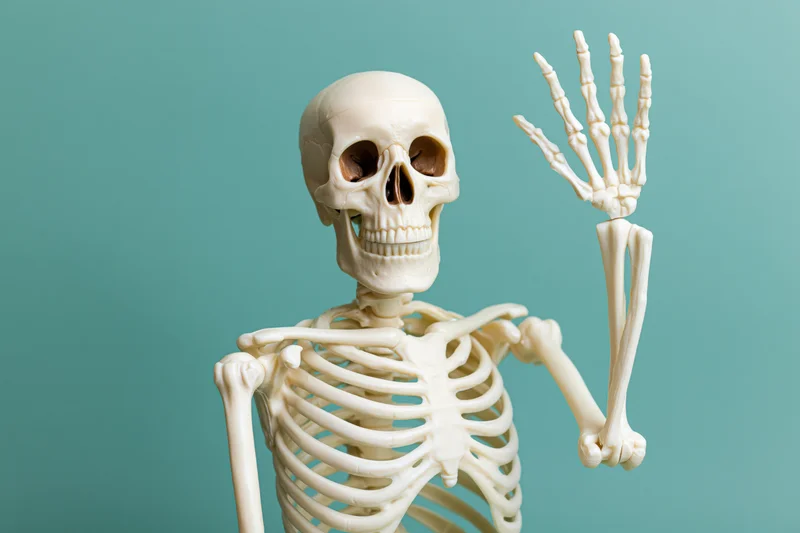 Plastic anatomical human skeleton model raising one hand against teal background