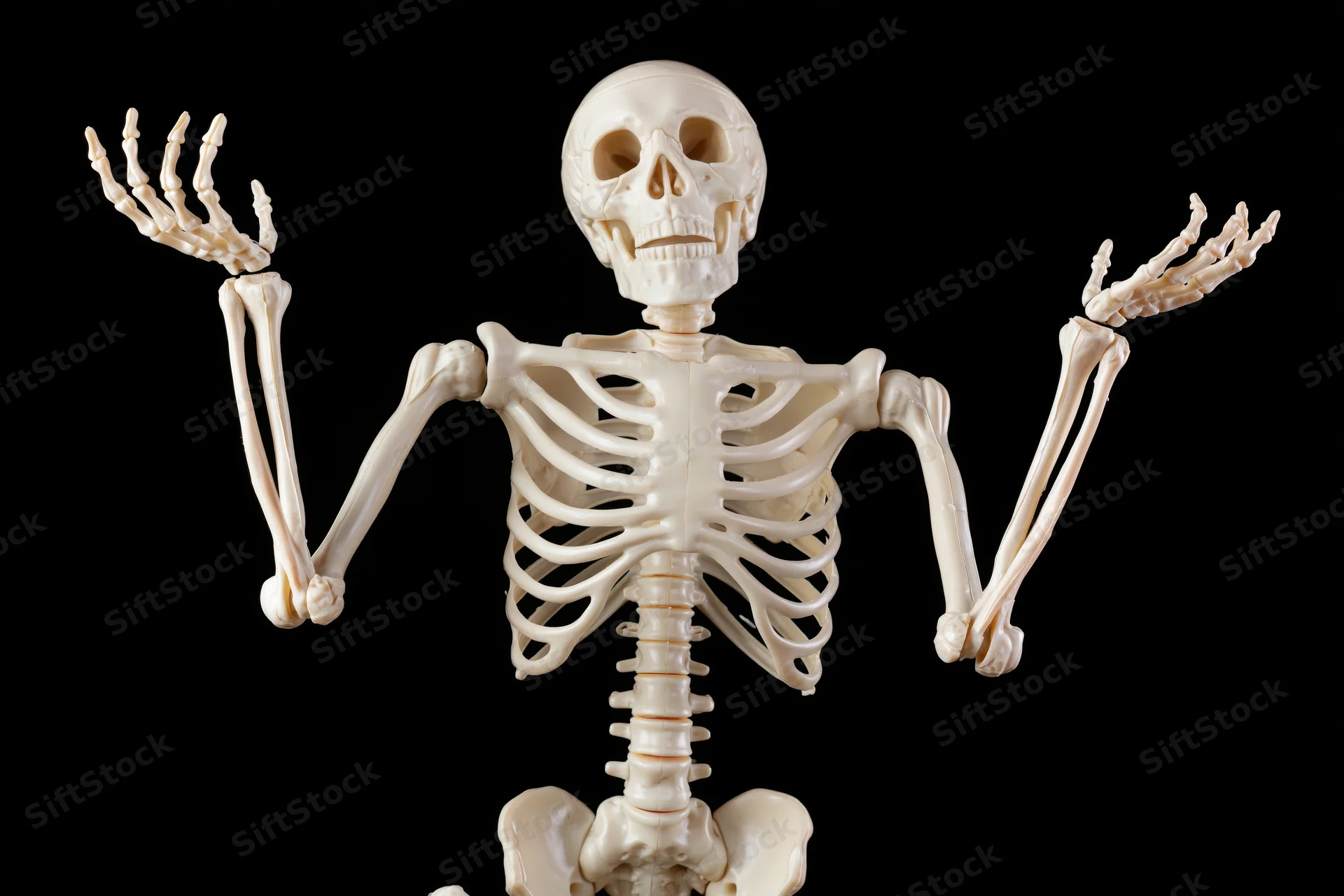 Plastic human skeleton model with arms raised against black background