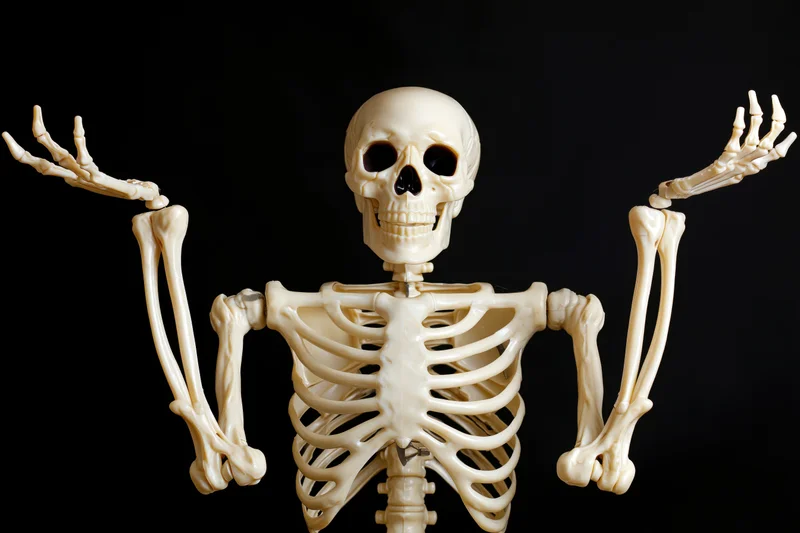Plastic human skeleton model with arms raised against black background