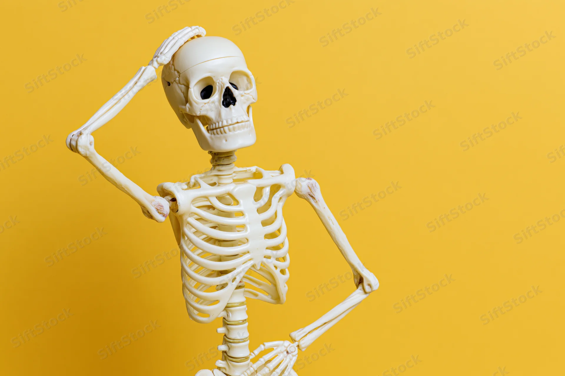 Plastic human skeleton model posing with one hand on head against yellow background