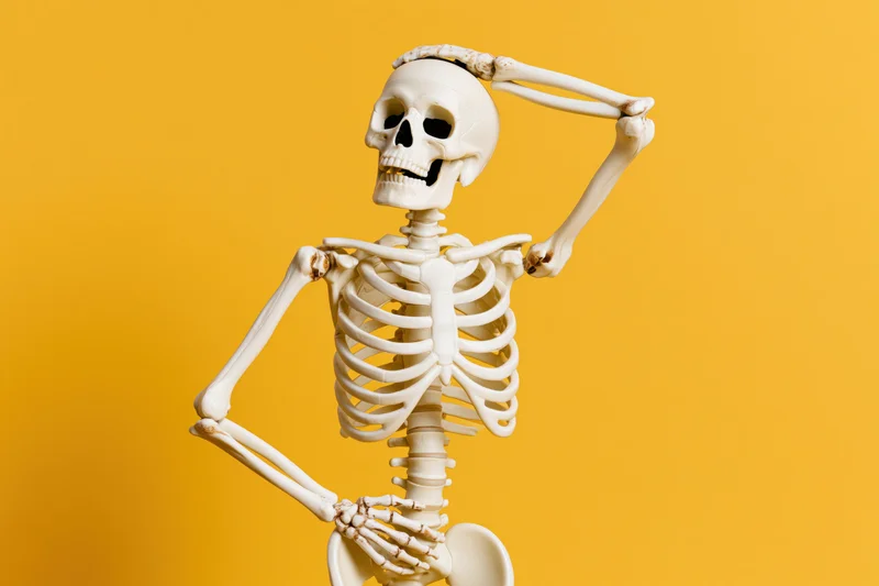 Plastic human skeleton model posed with one arm raised to head against orange background