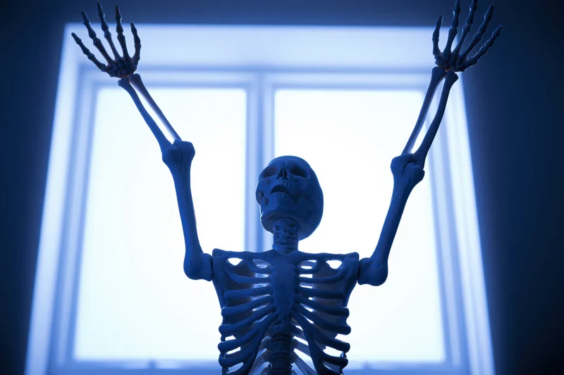 Plastic human skeleton model with arms raised in front of a window