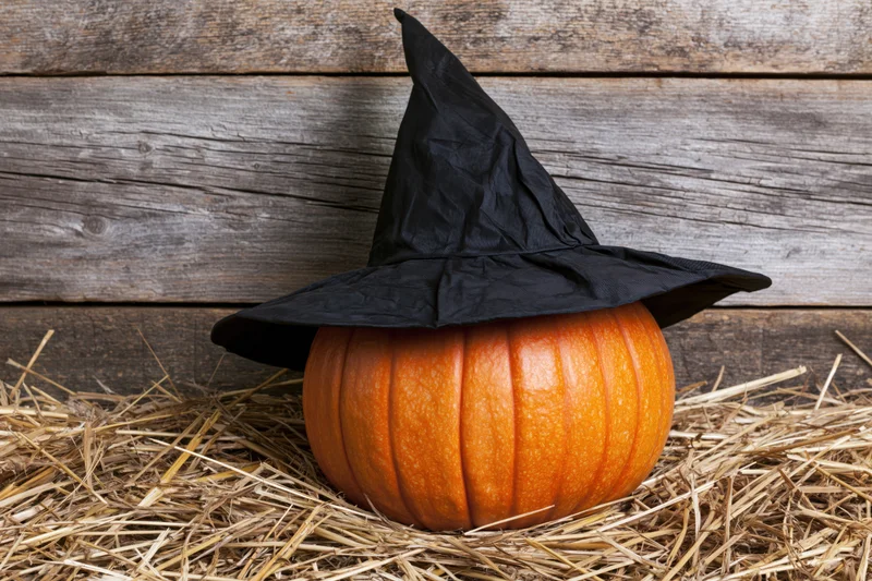 Round orange pumpkin wearing black pointed witch hat resting on straw against wooden wall