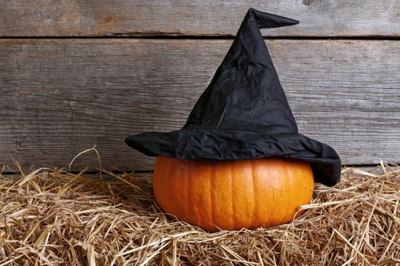 Round orange pumpkin wearing black pointed witch hat resting on hay in front of weathered wooden wall