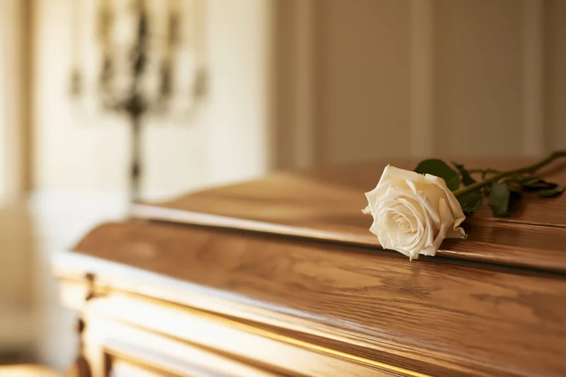 White rose resting on lid of polished wooden coffin in softly lit room
