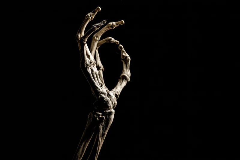 Skeletal hand reaching upward against black background