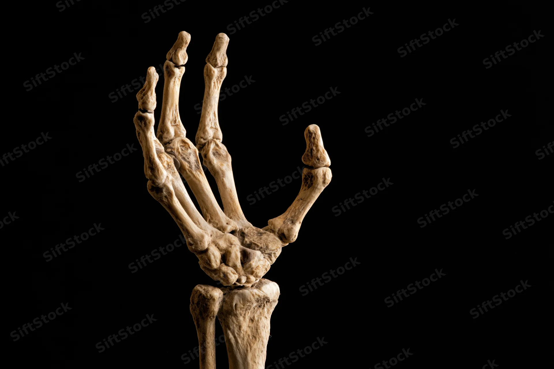 Skeletal human hand reaching upward from darkness with fingers splayed against black background