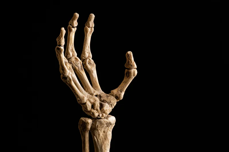 Skeletal human hand reaching upward from darkness with fingers splayed against black background