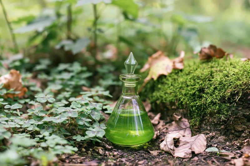 Small glass decanter with green liquid resting on mossy forest floor beside clover plants