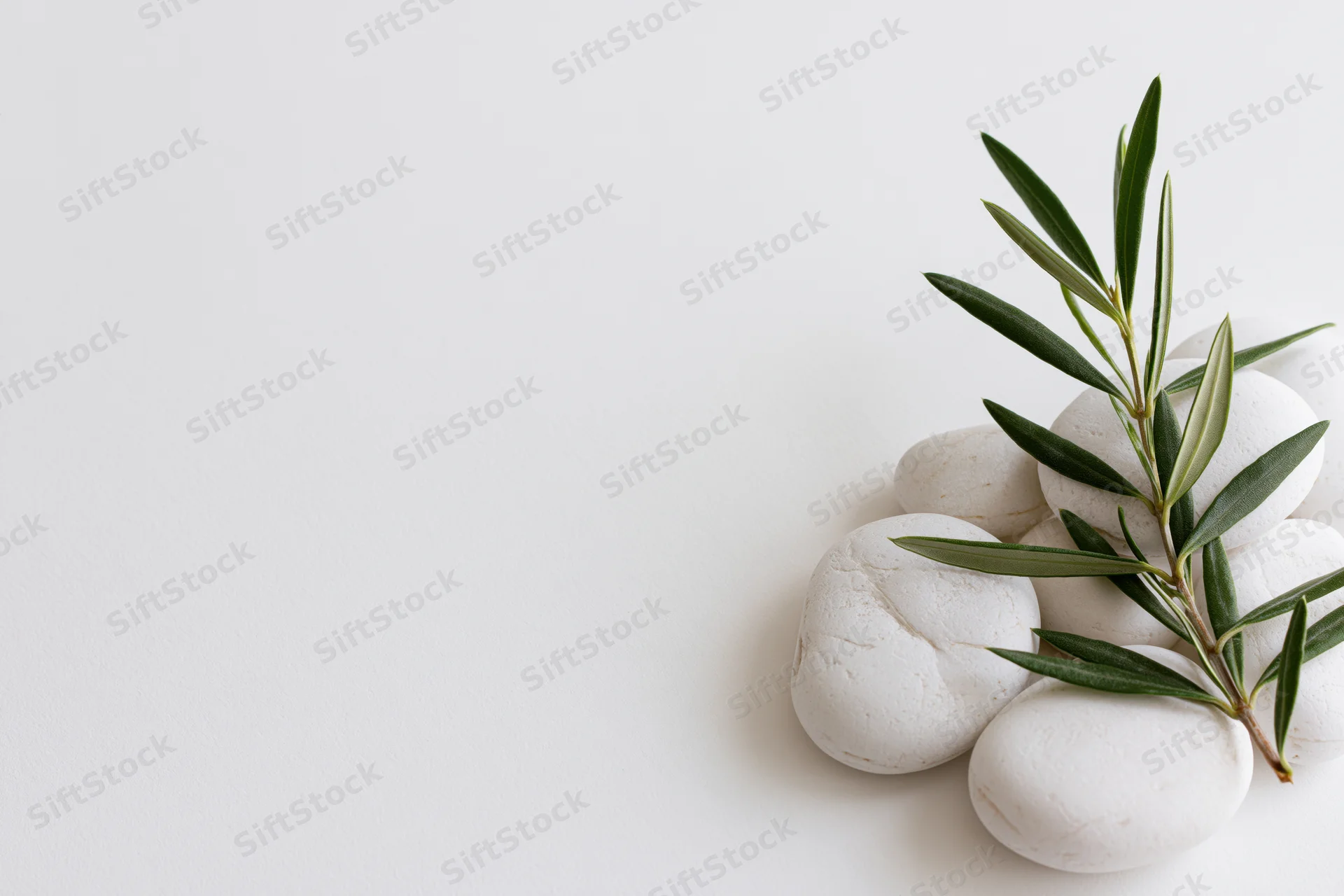 Olive branch with green leaves resting on white stones on a plain white surface
