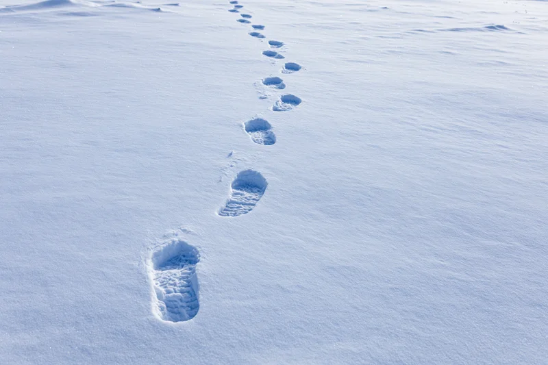 Trail of human footprints in fresh snow leading across a winter landscape