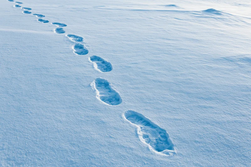 A trail of human footprints in fresh snow leading across a snowy landscape