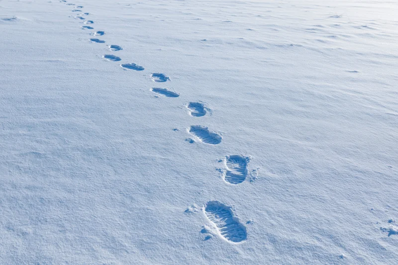 A trail of human footprints in fresh undisturbed snow across a snowy landscape