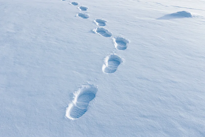 Footprints in fresh snow forming a trail across a snowy landscape