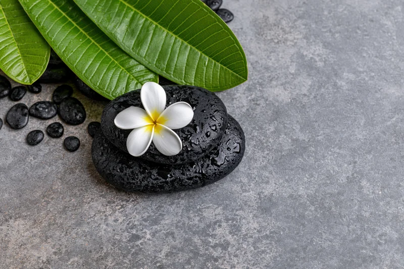 White plumeria flower with yellow center resting on stacked black stones beside green leaves on gray surface