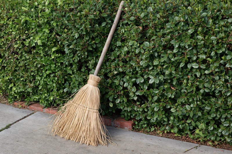 Traditional straw broom with wooden handle leaning against a green hedge beside a concrete pathway