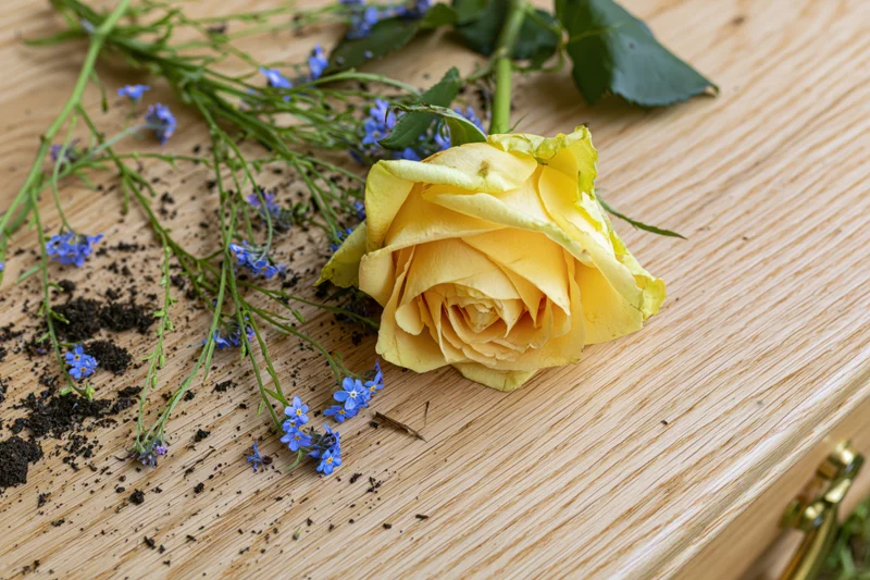 Yellow rose and blue wildflowers scattered on wooden surface with soil