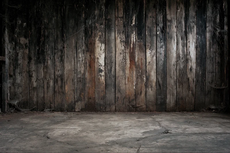 Weathered vertical wooden planks lining an abandoned interior room with cracked concrete floor