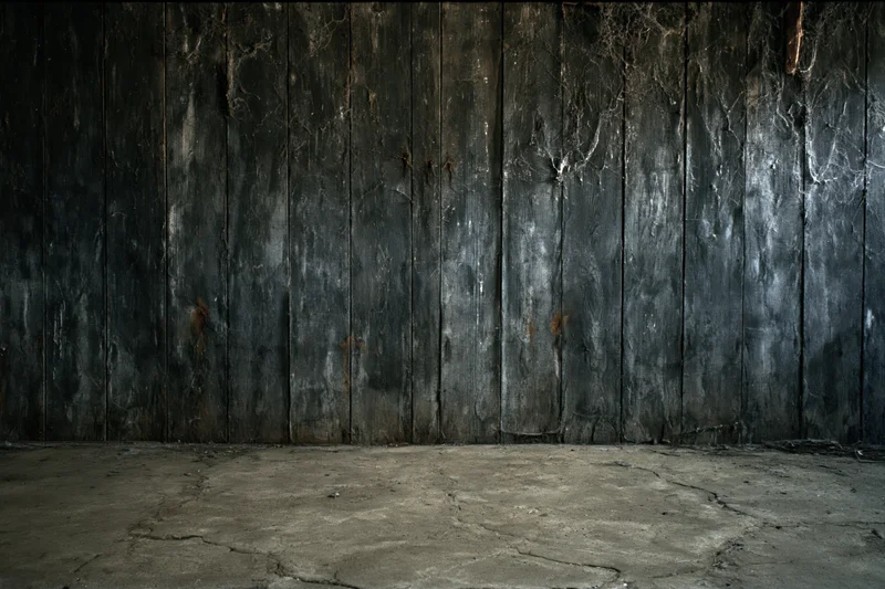 Weathered vertical wooden planks lining an abandoned room with cracked concrete floor
