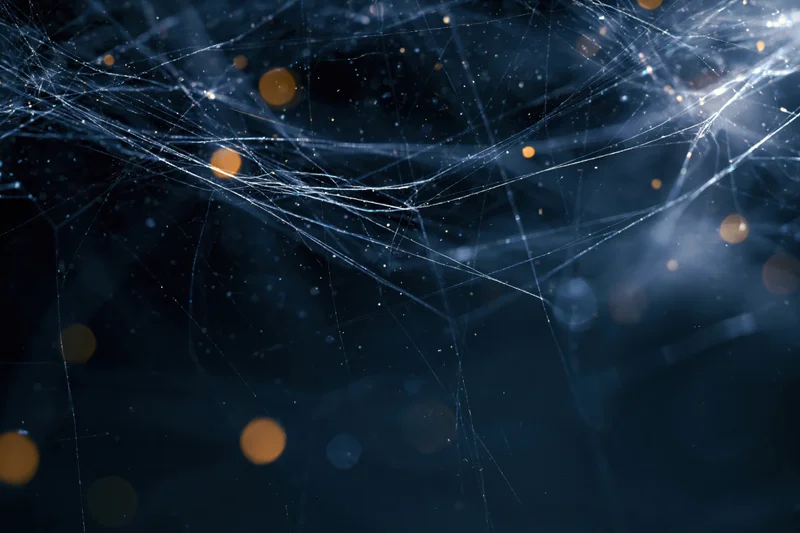 Abstract network of fine threads and glowing particles against dark background