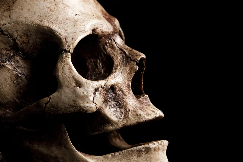Aged human skull in profile with open jaw against black background