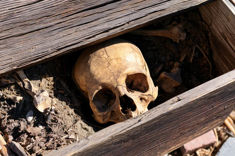 Human skull with visible cracks resting inside a weathered wooden coffin filled with soil and bone fragments