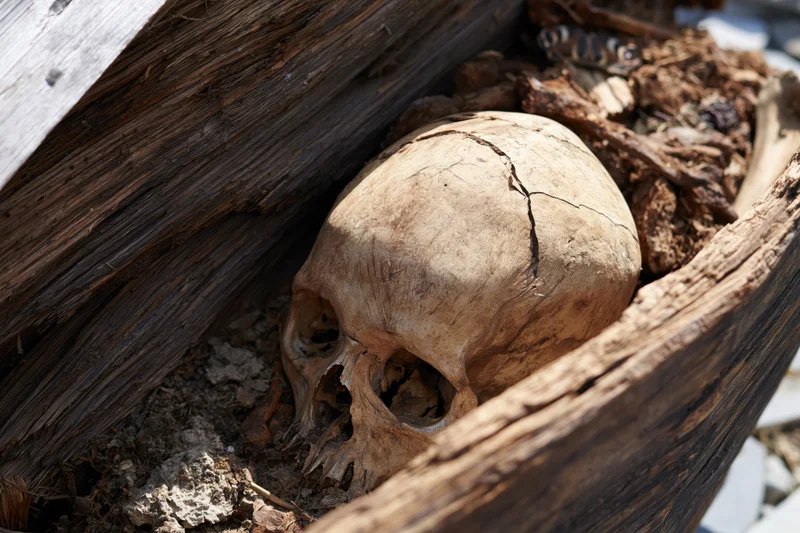 Aged human skull with visible cranial cracks resting inside a weathered wooden coffin amidst soil and debris