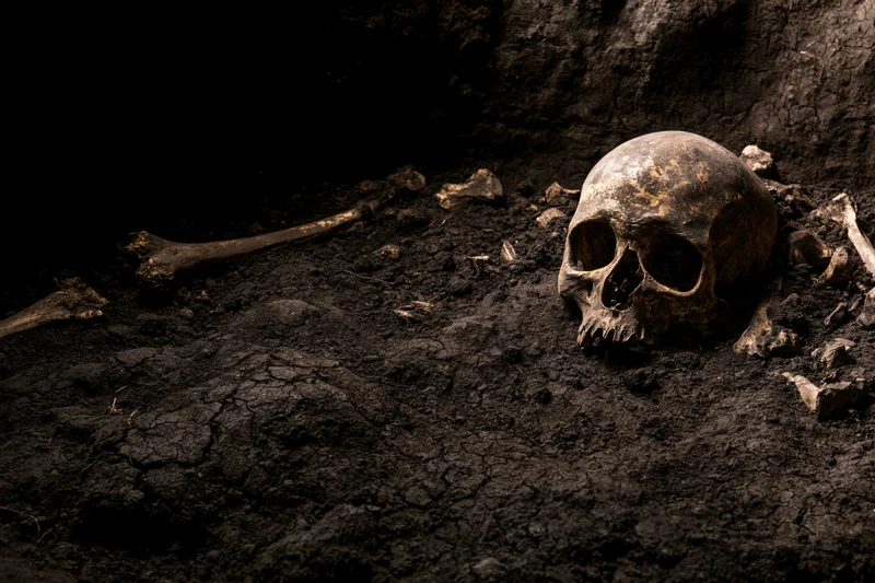 Human skull and scattered bones partially embedded in dark soil at an excavation site