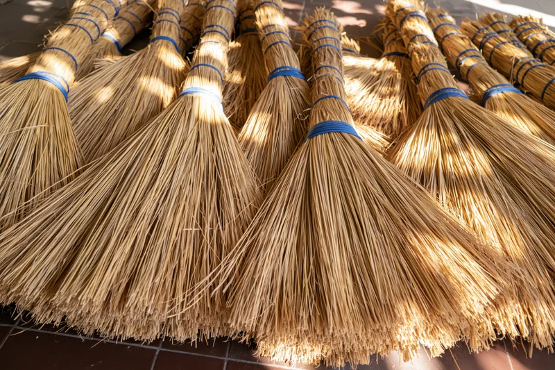 Bundles of dried straw broom bristles bound with blue rubber bands arranged in rows on a tiled floor
