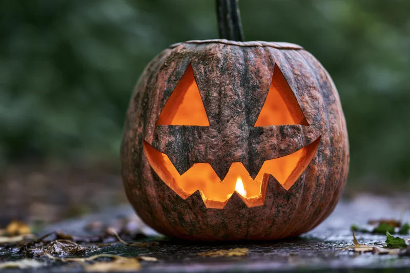 Carved pumpkin with glowing face sitting on wet ground outdoors at night
