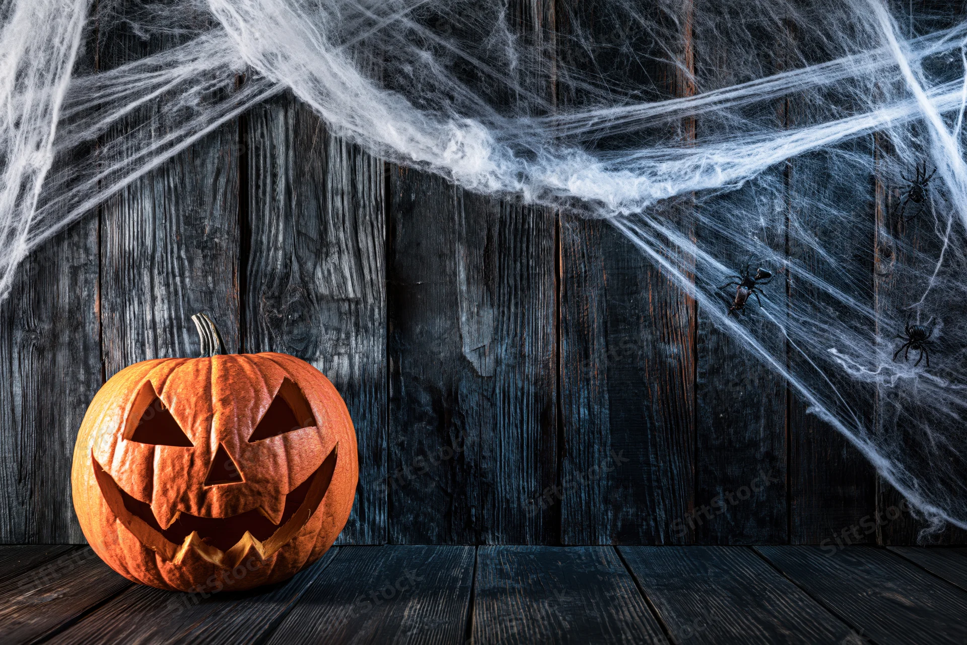 Carved jack-o-lantern on dark wooden floor with spiderwebs and spiders