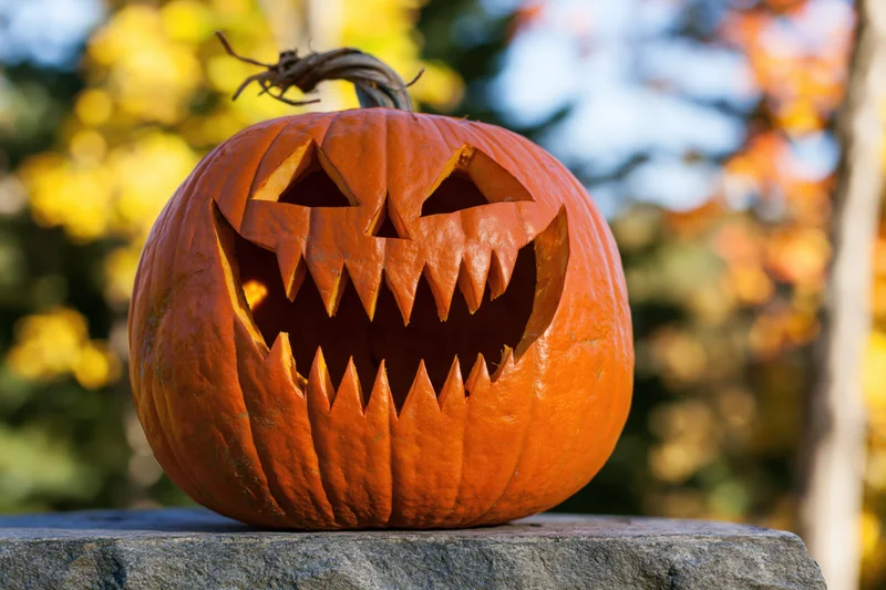 Carved pumpkin with jagged toothy grin sitting on stone surface outdoors among autumn foliage
