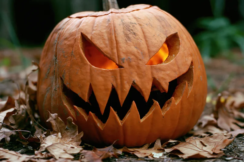 Carved jack-o-lantern with jagged menacing face glowing in the dark among dried leaves on the ground
