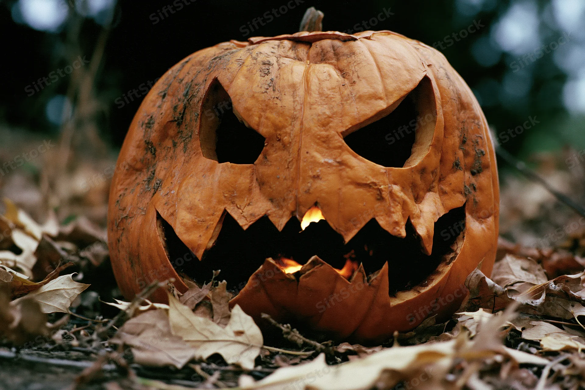 Carved jack-o-lantern with jagged face glowing from within, resting on ground among dried autumn leaves