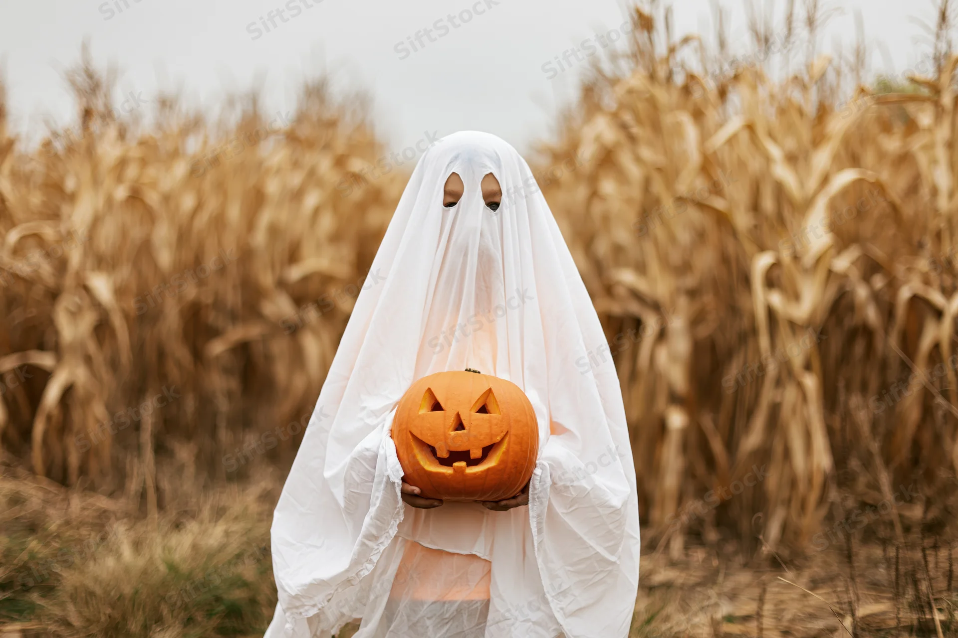 Child in white sheet ghost costume holding carved pumpkin in cornfield