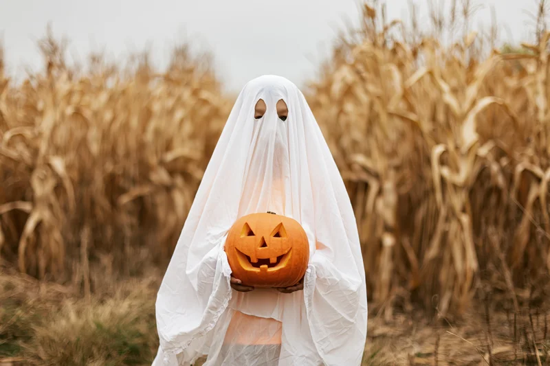 Child in white sheet ghost costume holding carved pumpkin in cornfield
