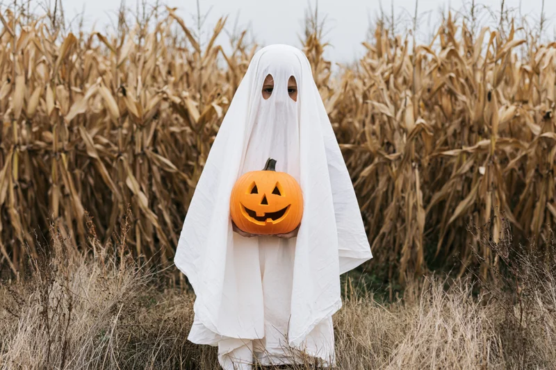 Child in white sheet ghost costume holding carved pumpkin in cornfield