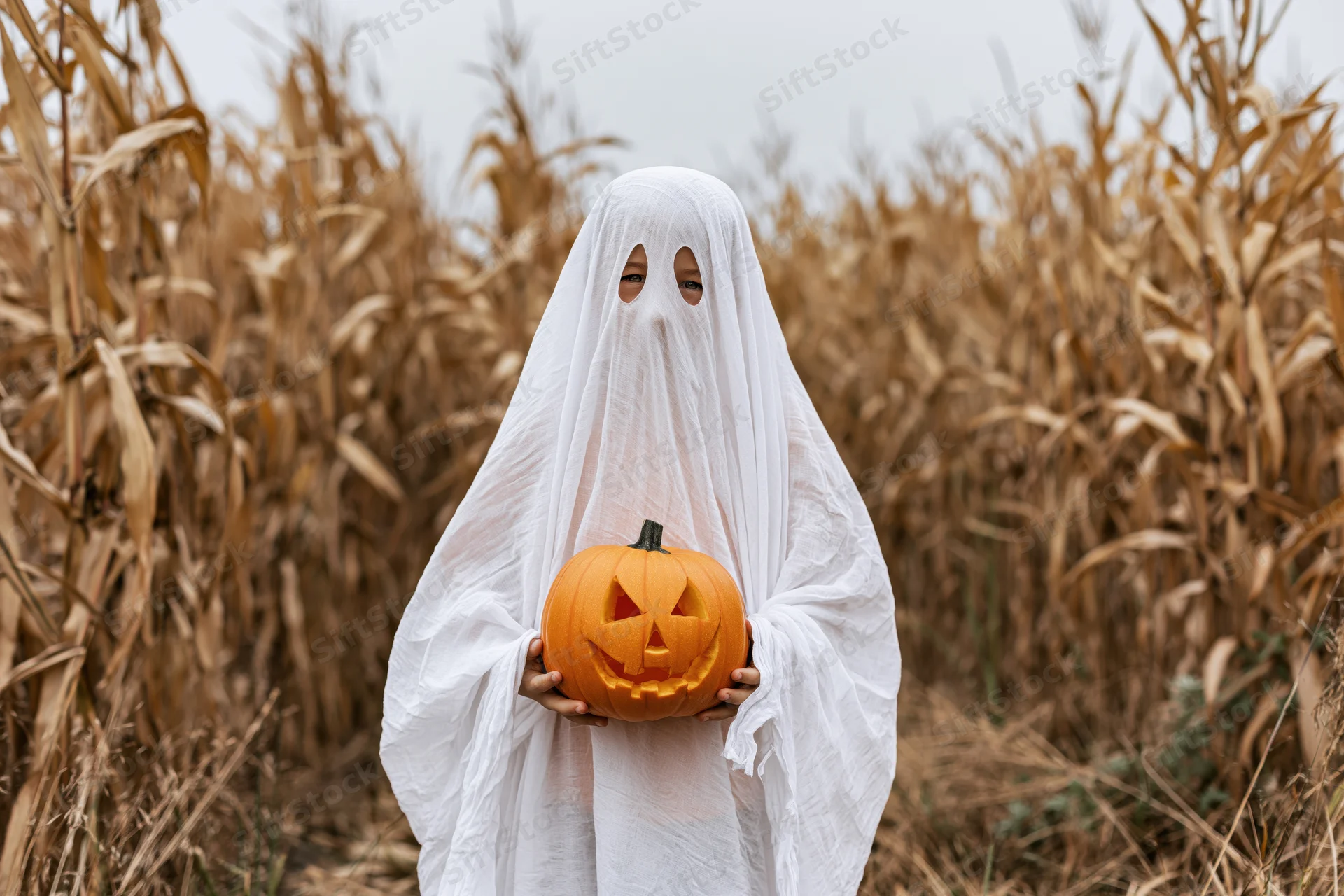 Child in white sheet ghost costume holding carved pumpkin in cornfield