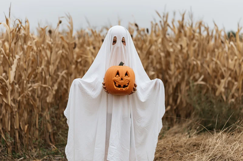 Child in white sheet ghost costume holding carved pumpkin in cornfield