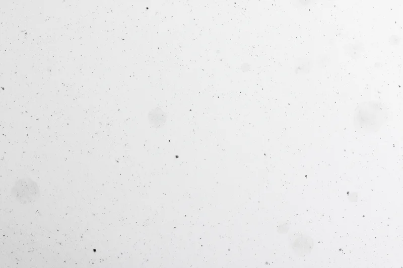 Close-up of a white paper surface with scattered speckles and faint stains, flat lay view