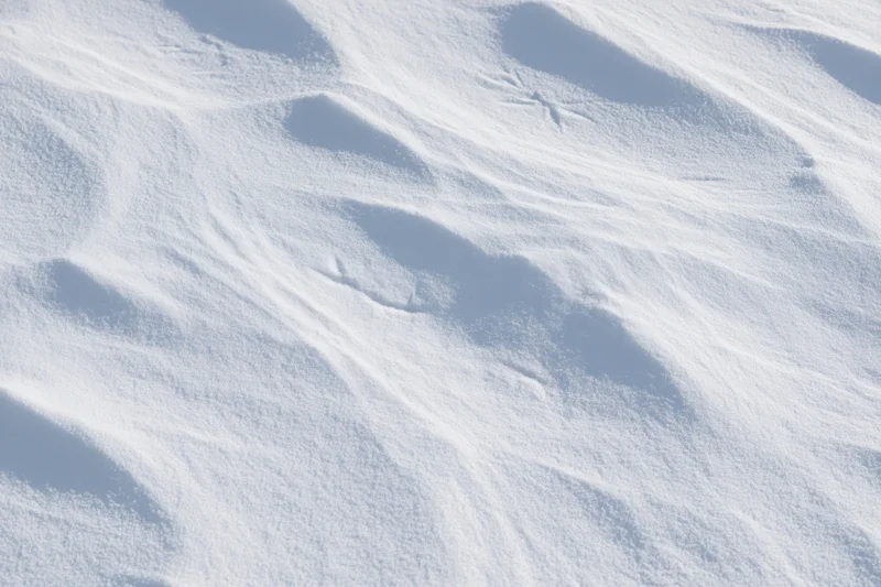 Close-up of undisturbed snow surface with soft ripples and shadows under sunlight