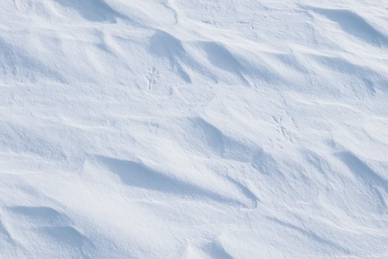 Close-up of undisturbed snow surface with faint animal tracks and soft drifts
