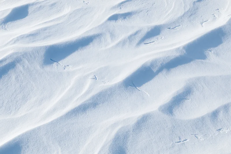 Undisturbed snow surface with soft drifts and shadows in winter landscape