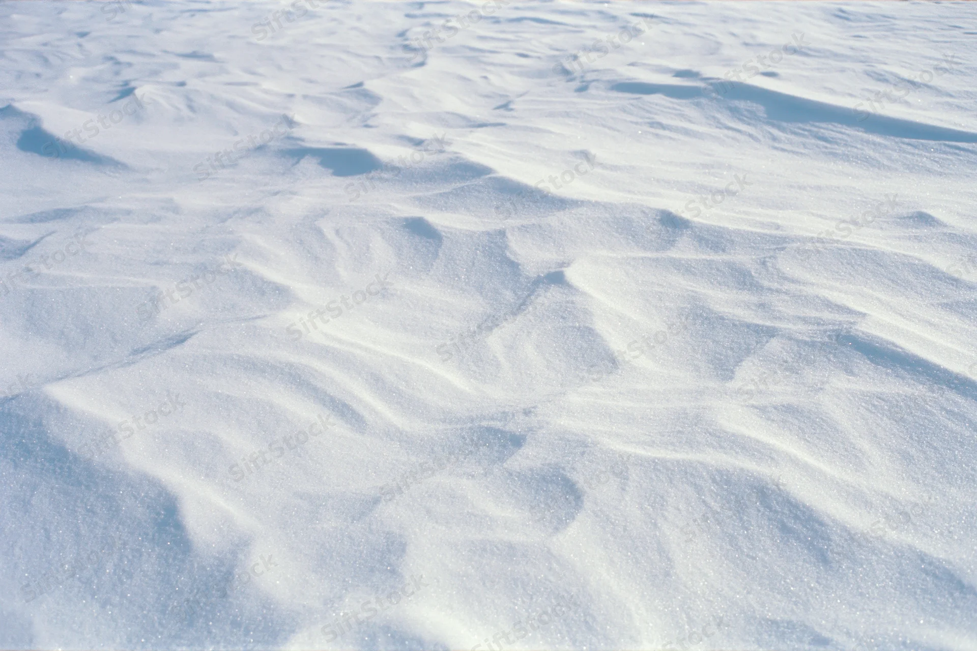 Close-up of undisturbed snow surface with wind-formed ridges and soft shadows under bright light
