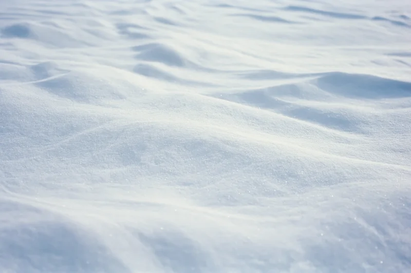Closeup of undisturbed snow surface with soft ripples and sparkling texture under bright daylight