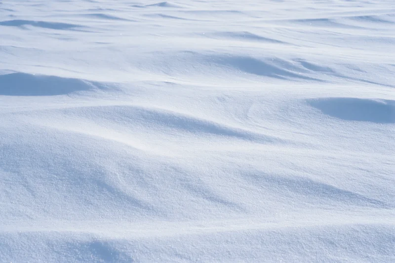Closeup of undisturbed fresh snow surface on ground in winter landscape